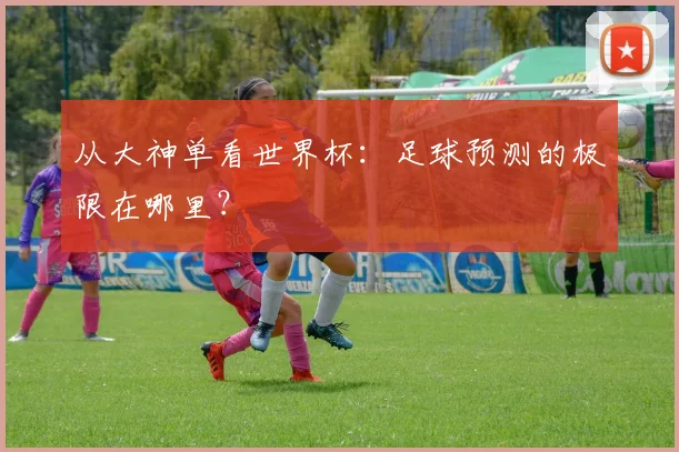 从大神单看世界杯：足球预测的极限在哪里？
