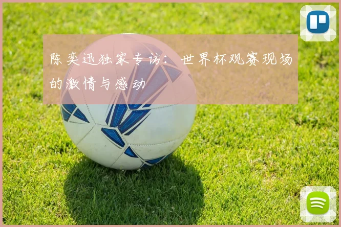 陈奕迅独家专访：世界杯观赛现场的激情与感动
